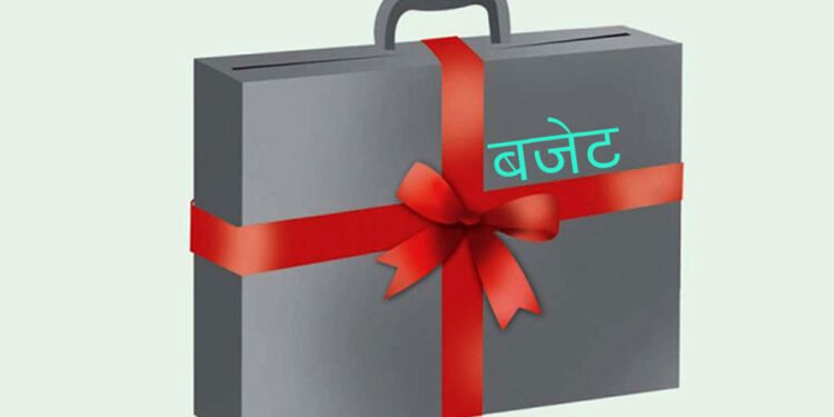 २५ स्थानीय तह अझै बजेटविहीन