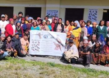 धवलागिरिमा दुर्लभ पन्छी चिरकालिज भेटिएपछि संरक्षण अभियान