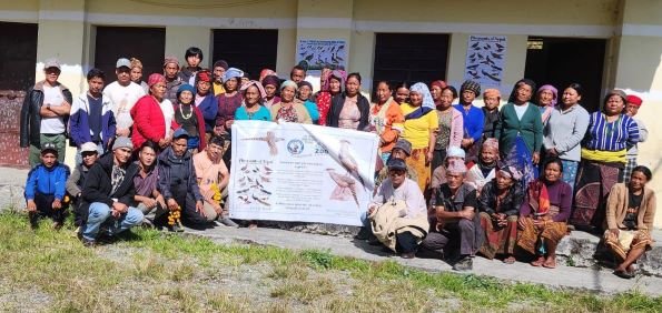 धवलागिरिमा दुर्लभ पन्छी चिरकालिज भेटिएपछि संरक्षण अभियान