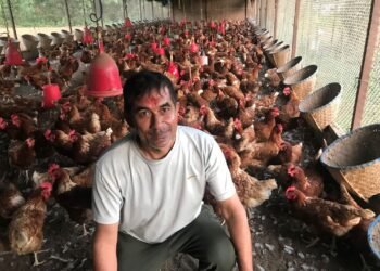 कुखुरापालनबाट मासिक एक लाख आम्दानी