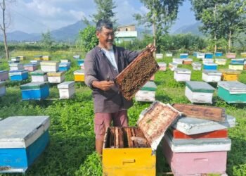 दाङमा व्यावसायिक मौरीपालन किसानको सङ्ख्या पाँच सय बढी