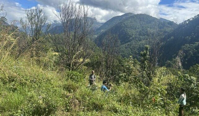 ‘पकेट’ क्षेत्रमै सुन्तलाका बोट सुकेपछि …