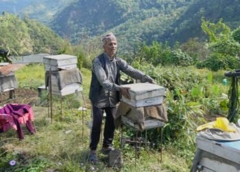 मौरीपालनबाट वार्षिक १५ लाख आम्दानी