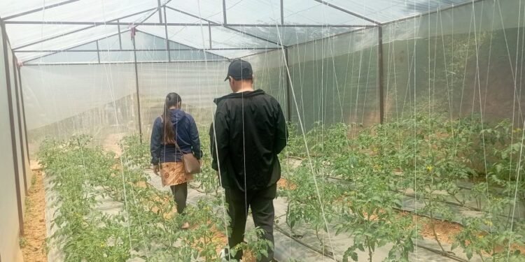 ‘हाइटेक टनेल’ बनाउन दुई करोडभन्दा बढी अनुदान