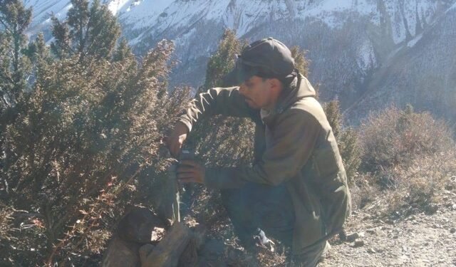 मनाङमा हिउँ चितुवा सर्वेक्षण : ङिस्याङ, नारफू र तिलिचो आसपासका क्षेत्र बासस्थान