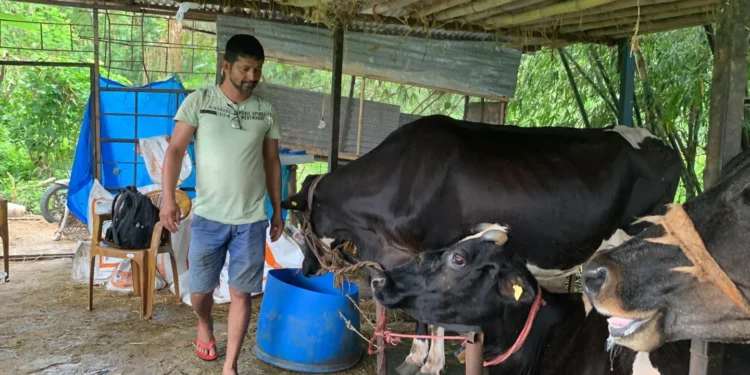 पसिनाका गन्धमा सफलता खोज्ने तिवारी