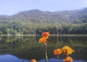 आहा ! आलिताल