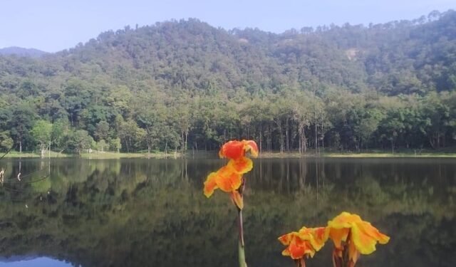 आहा ! आलिताल