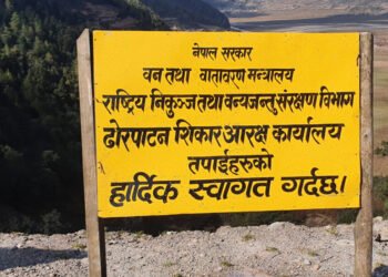 वन्यजन्तु पीडित किसानलाई ३८ लाख बढी राहत