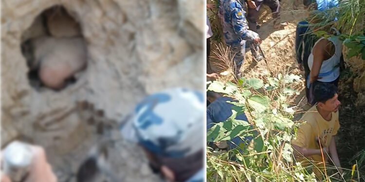 दुम्सी मार्ने क्रममा प्वालमा अड्किएका पुरुषको सकुशल उद्धार