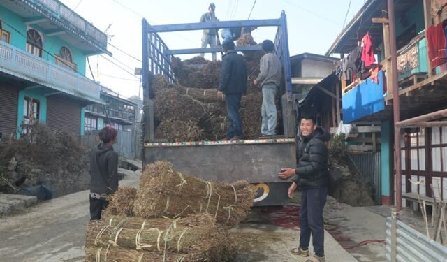 चिराइतो बिक्री नहुँदा किसान चिन्तित