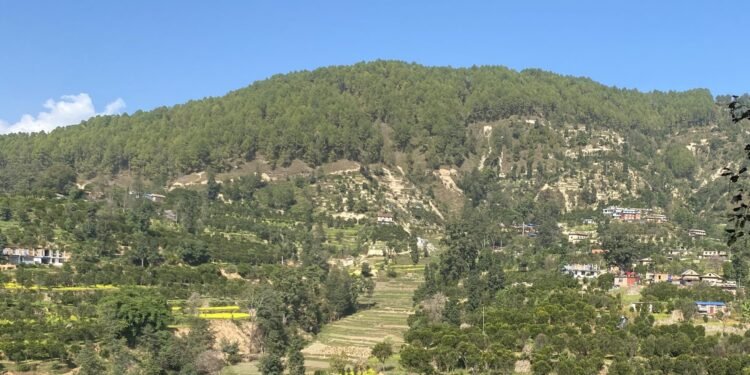 काभ्रेमा कृषि–पर्यटन प्रवर्द्धनार्थ ‘सुन्तला–हाइकिङ’