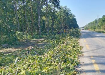 पूर्व–पश्चिम राजमार्ग विस्तार गर्न ६ हजार रुख काटिने
