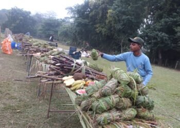 सौराहामा हात्ती महोत्सव : आज हात्ती पूजा र वनभोज