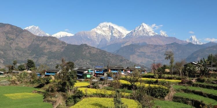 बेनीको तोरीपानीमा सयपत्री ‘होमस्टे’ सञ्चालन