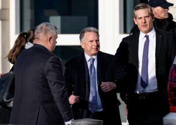 युक्रेन शान्ति वार्तामा युरोपको समर्थन