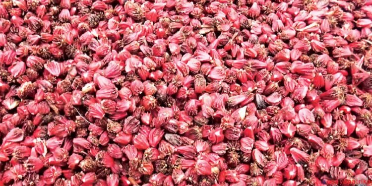 अलैँचीको निर्यात ६० प्रतिशतले बढ्यो