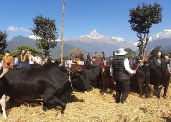 महोत्सवले पर्यटन प्रवर्द्धनसँगै अर्थतन्त्र चलायमान