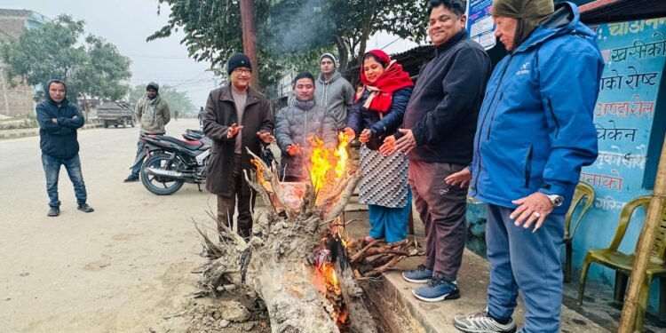 शीतलहरबाट जनजीवन प्रभावित हुनथालेपछि चोकचोकमा दाउरा बाल्न थालियो