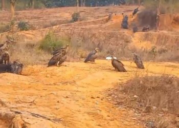 बर्दिबासको पर्यावरणबारे बढ्दै चासो