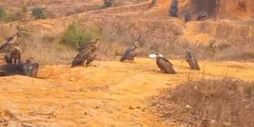 बर्दिबासको पर्यावरणबारे बढ्दै चासो