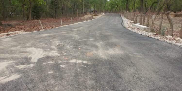 दुर्गमको ‘लालझाडी’ सडक पूर्वाधार विकासले सुगम बन्दै