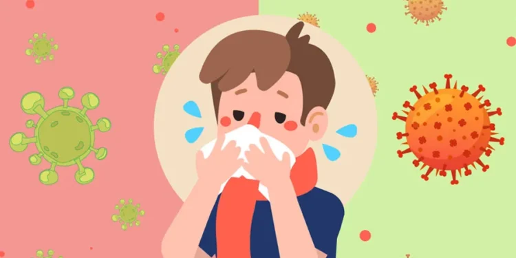 चिसोमा रुघाखोकी र मौसमी फ्लुबाट कसरी बच्ने ? यस्ता छन् चिकित्सकका सुझाव