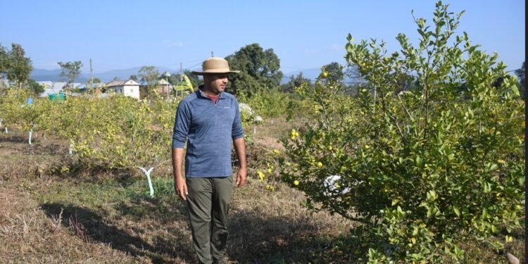 व्यावसायिक कागतीखेतीमा व्यस्त सिभिल इन्जिनियर लोहनी