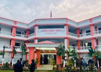 मधेसका मुख्यमन्त्री यादवले बुधबार विश्वासको मत लिने