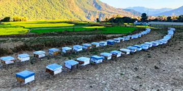 अवकाशपछिको जाँगरः मौरीपालनबाट मनग्य आम्दानी गर्दै घनश्याम