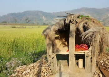 बडीमालिकाका सात वडा छाउपडी गोठमुक्त