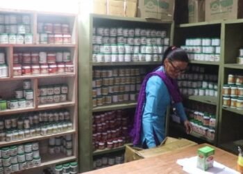 आयुर्वेदिक उपचारतर्फ जनआकर्षण बढ्दो