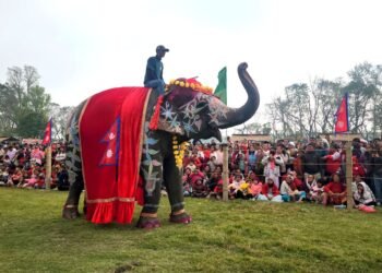 चितवनको पर्याय बन्दै ‘हात्ती तथा पर्यटन महोत्सव’