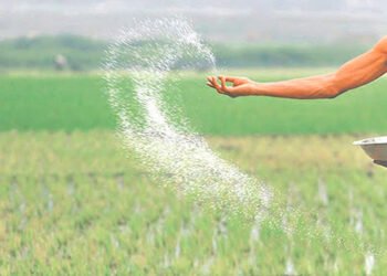 रासायनिक मलको जथाभावी प्रयोगले घट्दै माटोको उर्वराशक्ति