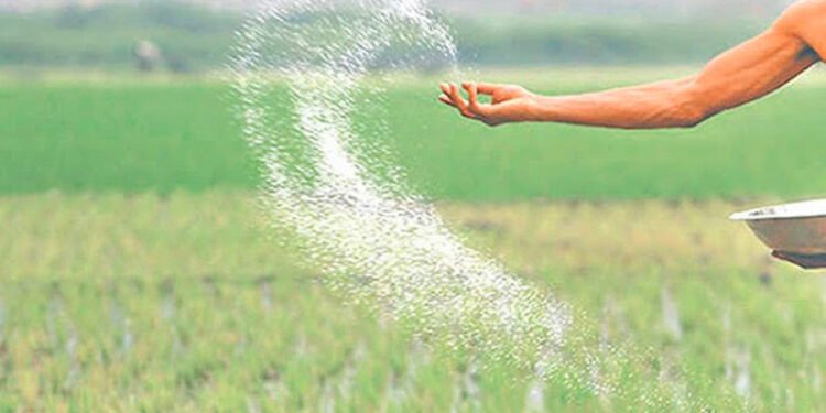 रासायनिक मलको जथाभावी प्रयोगले घट्दै माटोको उर्वराशक्ति