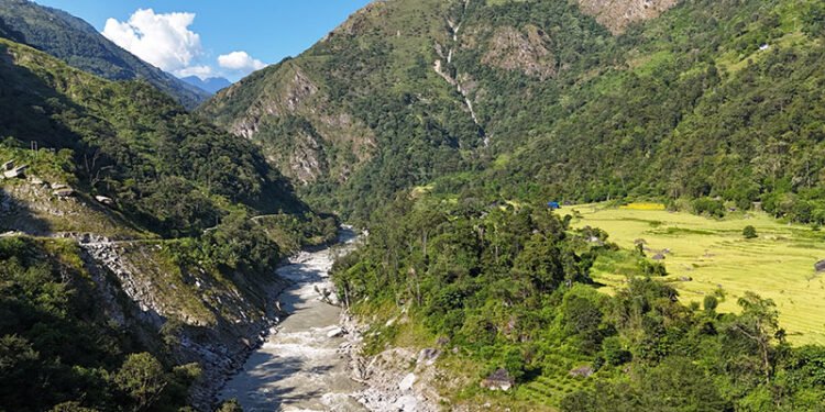 माथिल्लो अरुण आयोजनाका लागि दुई हजार बढी रुख काटियो