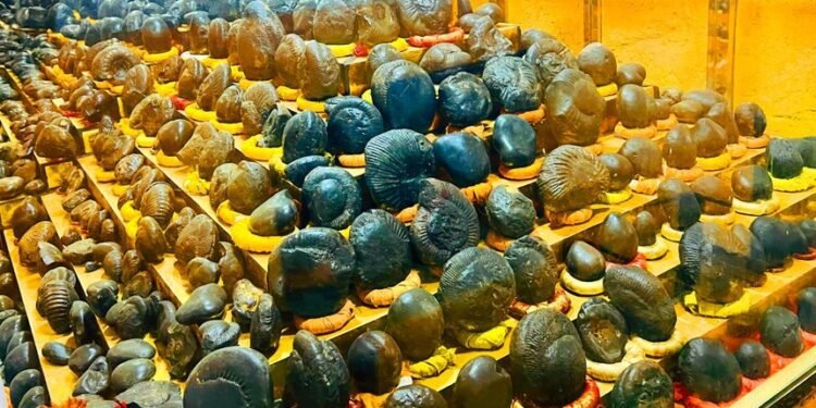 धार्मिक पर्यटकका लागि आकर्षक गन्तव्य बन्दै शालग्राम सङ्ग्रहालय