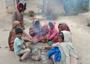 चिसोमा चटाइ र घूरको भर