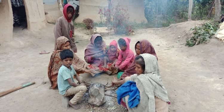 चिसोमा चटाइ र घूरको भर