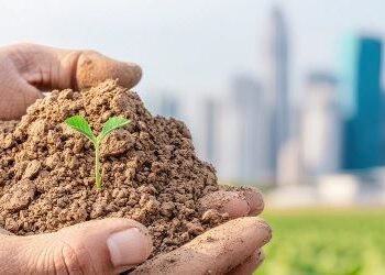 आज अन्तरराष्ट्रिय स्वयंसेवक दिवस, विश्व माटो दिवस पनि आजै