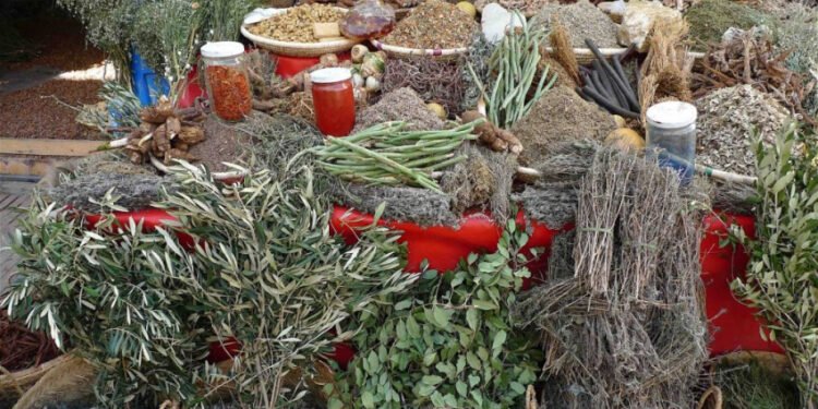 जडीबुटीमा किसानलाई आकर्षित गर्दै प्रशोधन केन्द्र