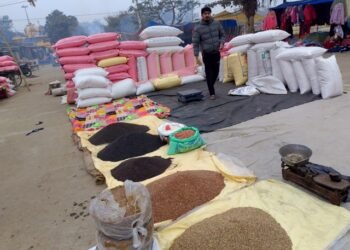 मिथिलाञ्चलमा माघे सङ्क्रान्तिको तयारी गरिँदै