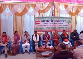 कांग्रेस सभापति थापाद्वारा पार्टी एकता र सङ्गठन सुदृढीकरणमा जोड