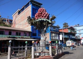 स्थानीय पहिचान झल्काउने ‘स्तम्भ’