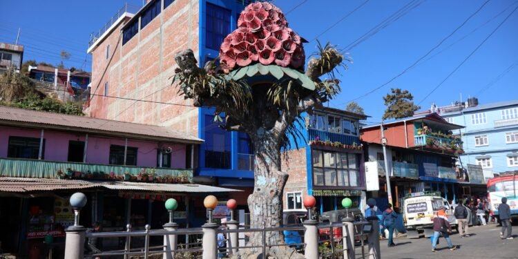 स्थानीय पहिचान झल्काउने ‘स्तम्भ’