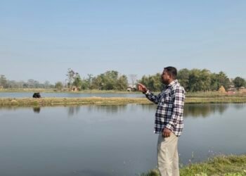 खत्वेको लोभलाग्दो कृषि कर्म