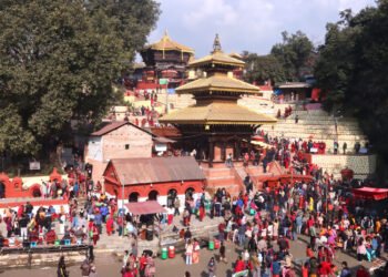 माघ शुक्ल चतुर्थीः माधवनारायणका वर्तालुद्वारा पनौतीमा पूजा