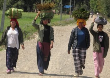 थारु बस्तीमा बढ्यो माघीको चहलपल
