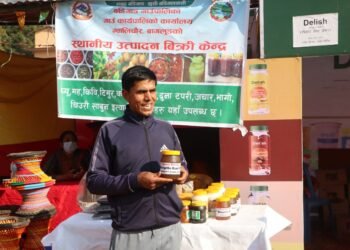विदेशमा हण्डर खाएपछि गाउँ फर्किएका लोकबहादुर मौरीपालनमा