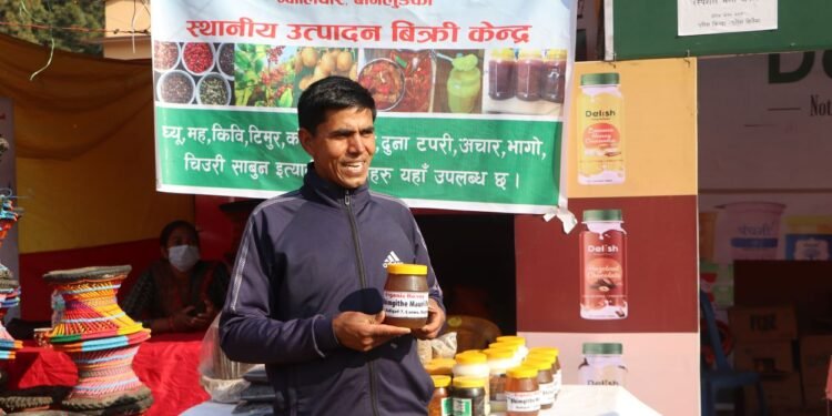 विदेशमा हण्डर खाएपछि गाउँ फर्किएका लोकबहादुर मौरीपालनमा